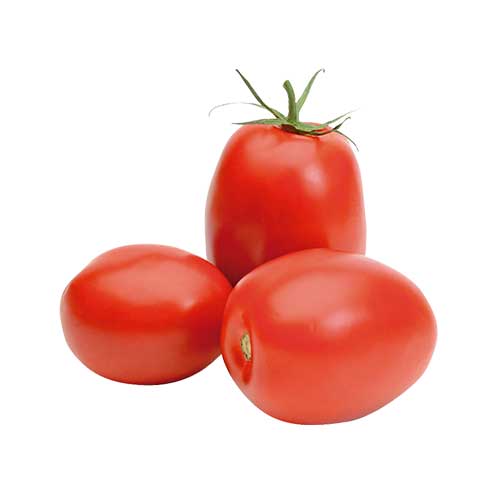 Tomate Saladete 